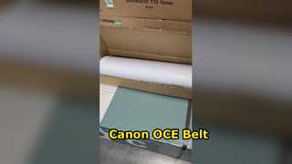 Canon OCE varioPRINT Konveyör Bant 1060075550