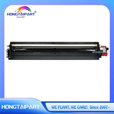 Siyah Geliştirici Birimi D177-3025 D177-3026 D177-3027 D177-3028 D177-3020 D177-3021 D177-3022 D177-3023 Ricoh MP için C2003 C2503 Ofis Yazıcı Tedarikleri